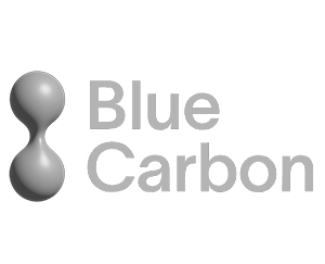 Blue Carbon